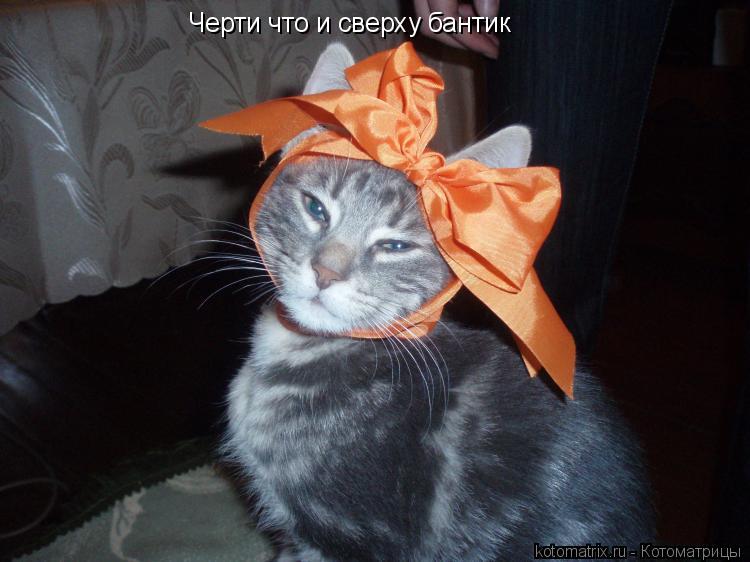 Черти что и сверху бантик... Котоматрица: Черти что и сверху бантик