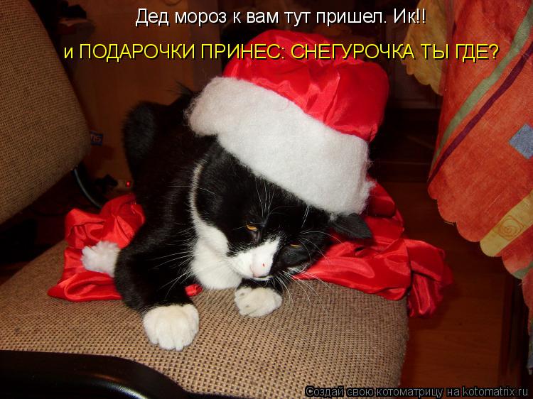 Котоматрица: Дед мороз к вам тут пришел. Ик!!  и ПОДАРОЧКИ ПРИНЕС: СНЕГУРОЧКА ТЫ ГДЕ?