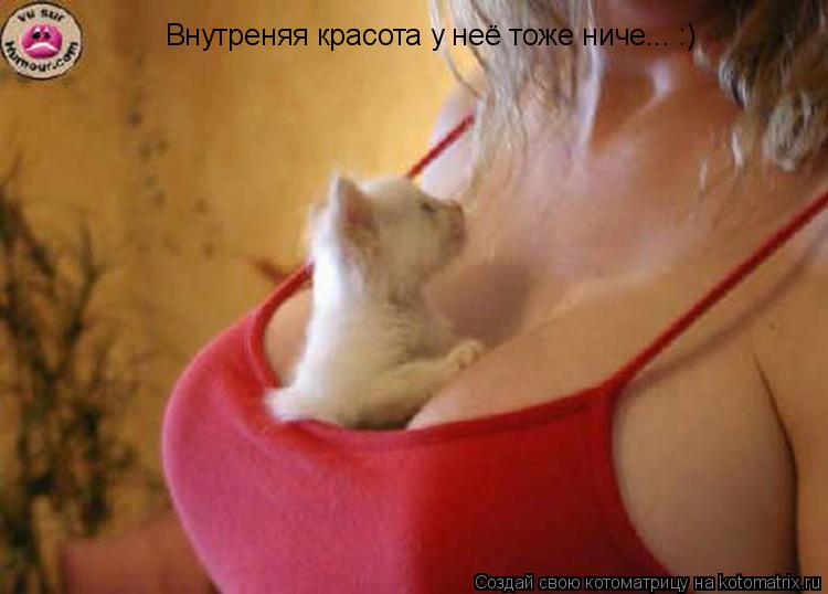 Котоматрица: Внутреняя красота у неё тоже ниче... :)