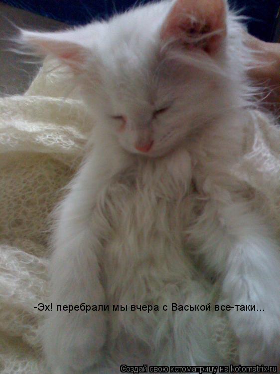 Котоматрица: -Эх! перебрали мы вчера с Васькой все-таки...