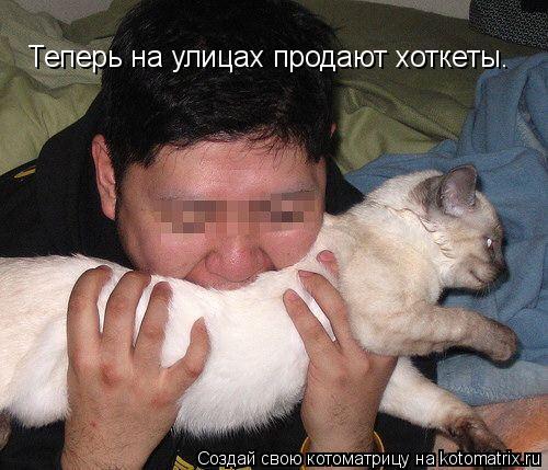 Котоматрица: Теперь на улицах продают хоткеты.