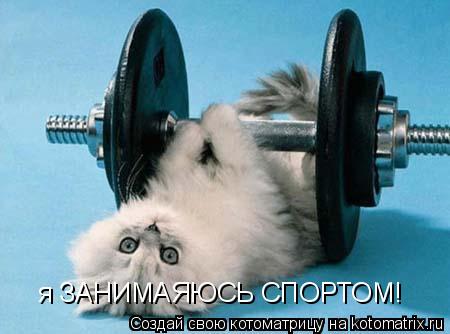 Котоматрица: я ЗАНИМАЯЮСЬ СПОРТОМ!