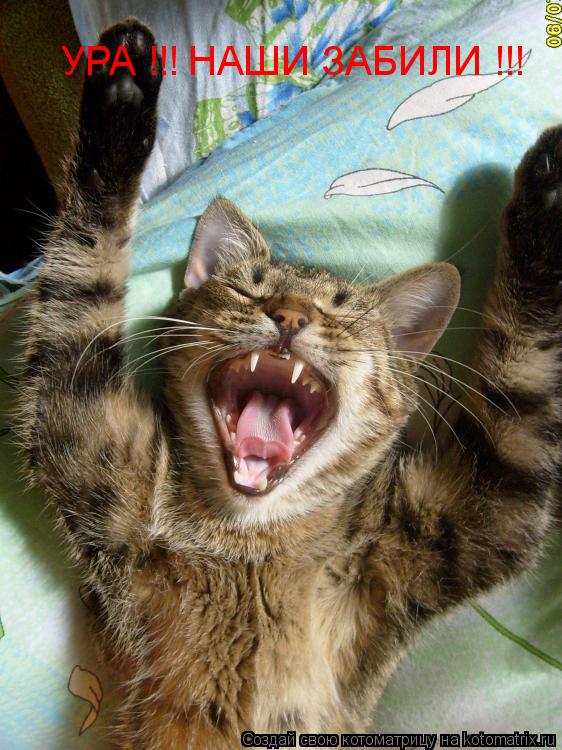УРА !!! НАШИ ЗАБИЛИ !!!... Котоматрица: УРА !!! НАШИ ЗАБИЛИ !!!