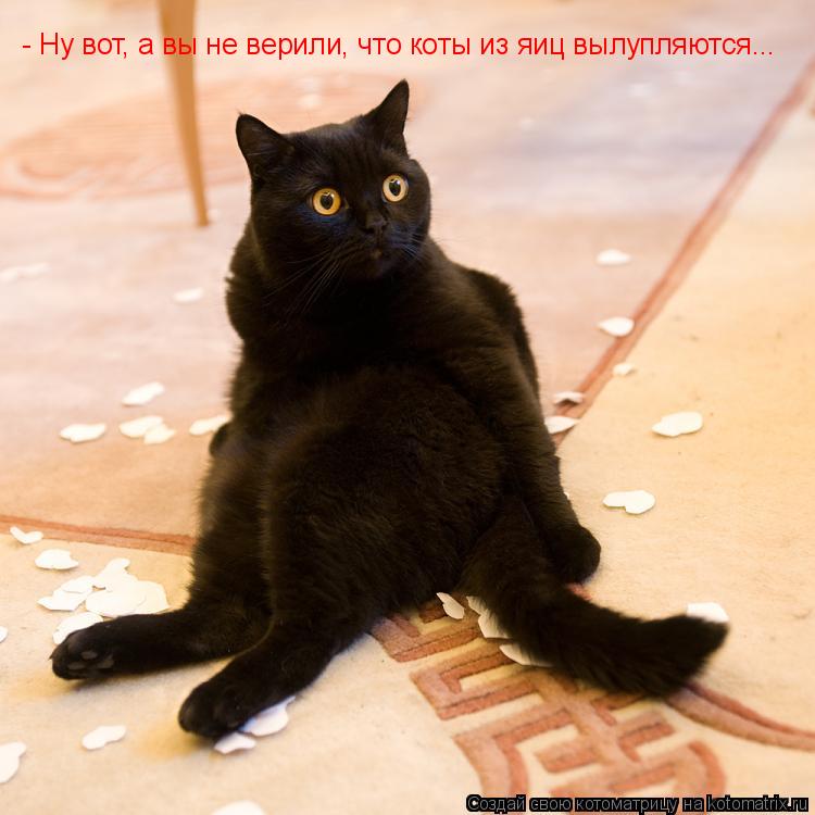 - Ну вот, а вы не верили, что коты из яиц вылупляются...... Котоматрица: - Ну вот, а вы не верили, что коты из яиц вылупляются...