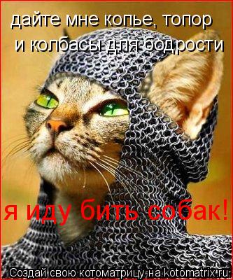 дайте мне копье, топор и колбасы для бодрости я иду бить собак!... Котоматрица: дайте мне копье, топор и колбасы для бодрости я иду бить собак!