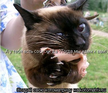 А у тебя есть сосиски да ?Тогда мы идём к вам!)... Котоматрица: А у тебя есть сосиски да ?Тогда мы идём к вам!)