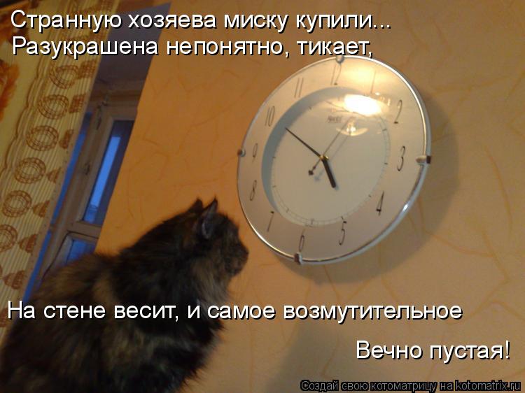 Странную хозяева миску купили... Разукрашена непонятно, тикает, На стене весит, и самое возмутительно... Котоматрица: Странную хозяева миску купили... Разукрашена непонятно, тикает, На стене весит, и самое возмутительное Вечно пустая!