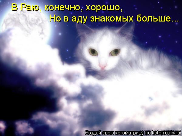 В Раю, конечно, хорошо, Но в аду знакомых больше...... Котоматрица: В Раю, конечно, хорошо, Но в аду знакомых больше...