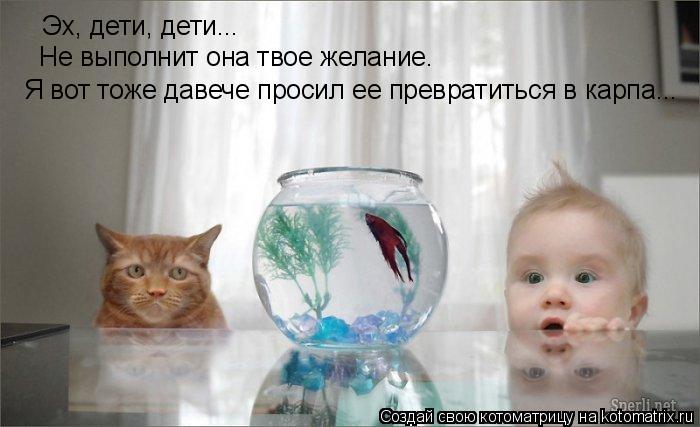 Эх, дети, дети... Не выполнит она твое желание. Я вот тоже давече просил ее превратиться в карпа...... Котоматрица: Эх, дети, дети... Не выполнит она твое желание. Я вот тоже давече просил ее превратиться в карпа...