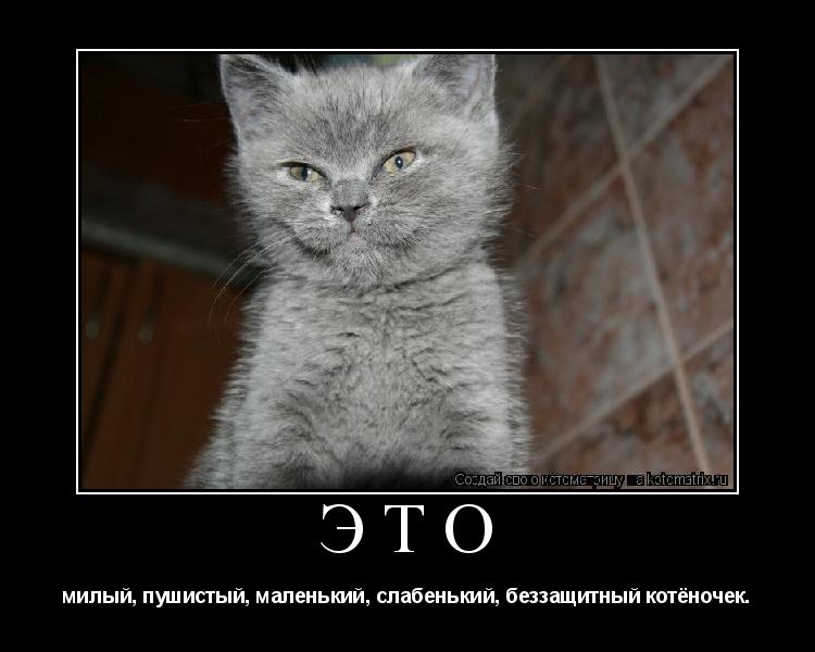 Это милый, пушистый, маленький, слабенький, беззащитный котёночек.... Котоматрица: Это милый, пушистый, маленький, слабенький, беззащитный котёночек.