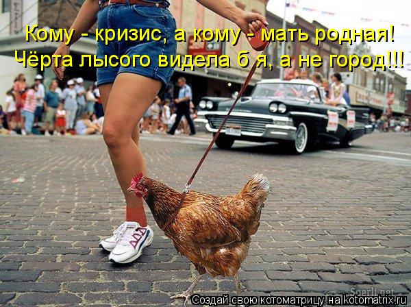 Кому - кризис, а кому - мать родная! Чёрта лысого видела б я, а не город!!!... Котоматрица: Кому - кризис, а кому - мать родная! Чёрта лысого видела б я, а не город!!!