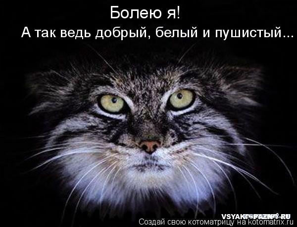 Котоматрица: Болею я! А так ведь добрый, белый и пушистый...