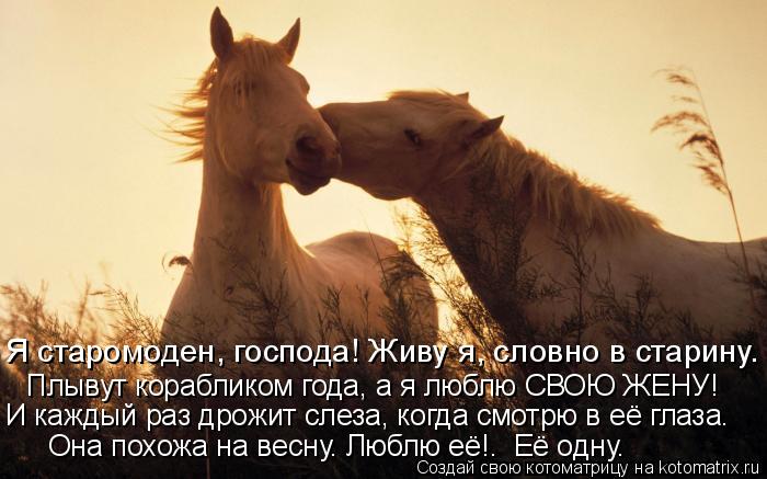 Я старомоден, господа! Живу я, словно в старину. Плывут корабликом года, а я люблю СВОЮ ЖЕНУ! И кажды... Котоматрица: Я старомоден, господа! Живу я, словно в старину. Плывут корабликом года, а я люблю СВОЮ ЖЕНУ! И каждый раз дрожит слеза, когда смотрю в её глаз