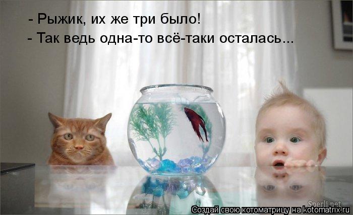 Котоматрица: - Рыжик, их же три было! - Так ведь одна-то всё-таки осталась...