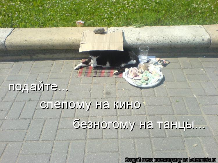 Котоматрица: подайте... слепому на кино безногому на танцы...