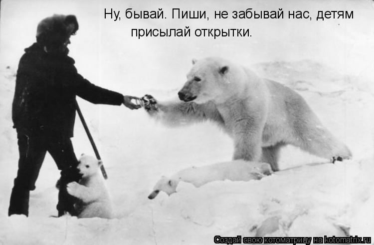 Ну, бывай. Пиши, не забывай нас, детям присылай открытки.... Котоматрица: Ну, бывай. Пиши, не забывай нас, детям присылай открытки.