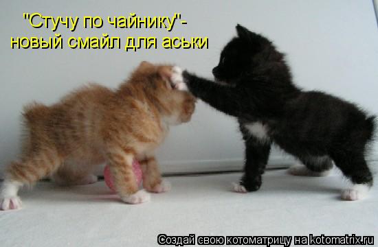 Котоматрица: "Стучу по чайнику"- новый смайл для аськи