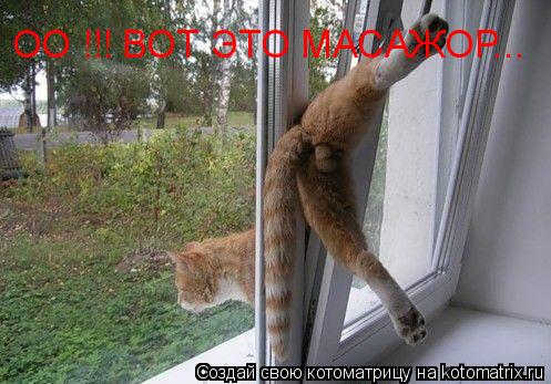 Котоматрица: ОО !!! ВОТ ЭТО МАСАЖОР...