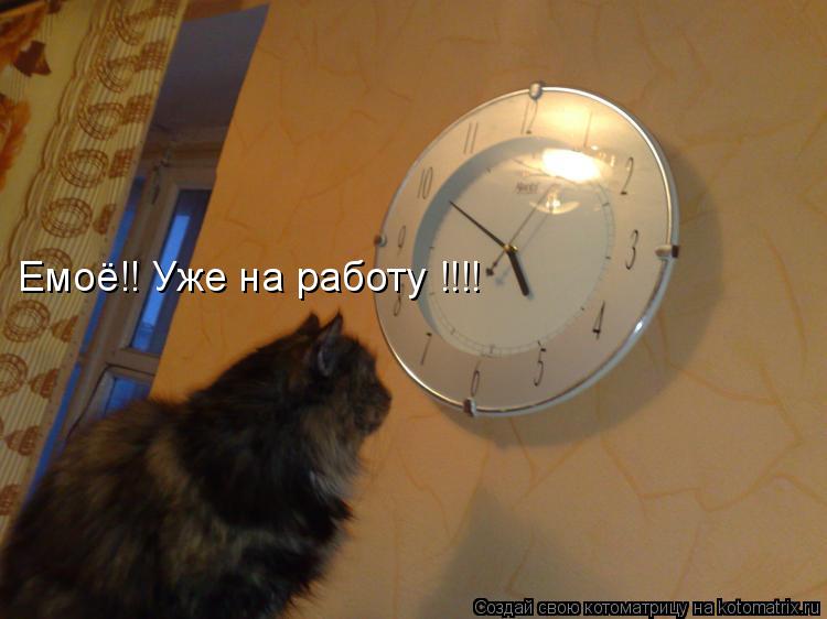 Котоматрица: Емоё!! Уже на работу !!!!