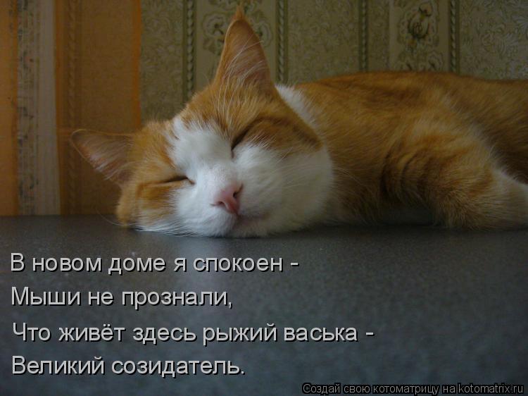 Котоматрица: В новом доме я спокоен - Мыши не прознали, Что живёт здесь рыжий васька - Великий созидатель.