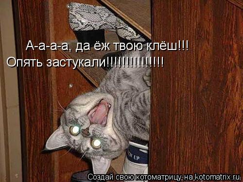 Котоматрица: А-а-а-а, да ёж твою клёш!!! Опять застукали!!!!!!!!!!!!!!!