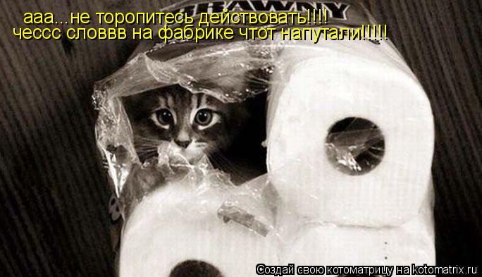 Котоматрица: ааа...не торопитесь действовать!!!! чессс словвв на фабрике чтот напутали!!!!!