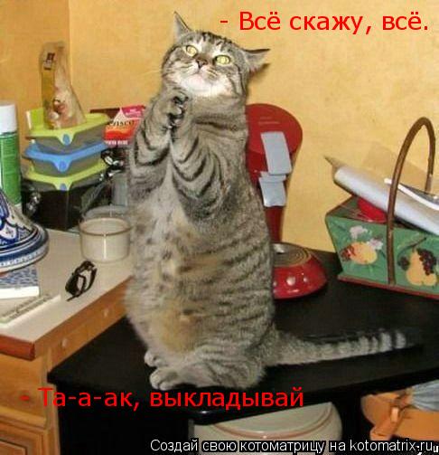 Котоматрица: - Всё скажу, всё. - Та-а-ак, выкладывай