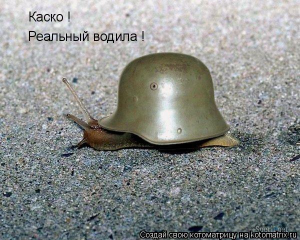 Котоматрица: Каско ! Реальный водила !