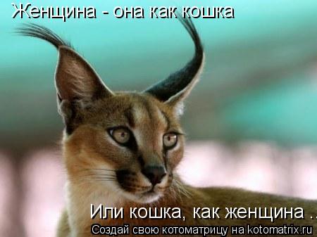 Котоматрица: Женщина - она как кошка Или кошка, как женщина ....