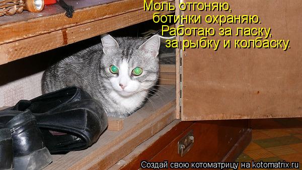 Моль отгоняю, ботинки охраняю. Работаю за ласку, за рыбку и колбаску.... Котоматрица: Моль отгоняю, ботинки охраняю. Работаю за ласку, за рыбку и колбаску.