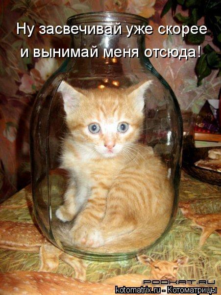 Котоматрица: и вынимай меня отсюда! Ну засвечивай уже скорее