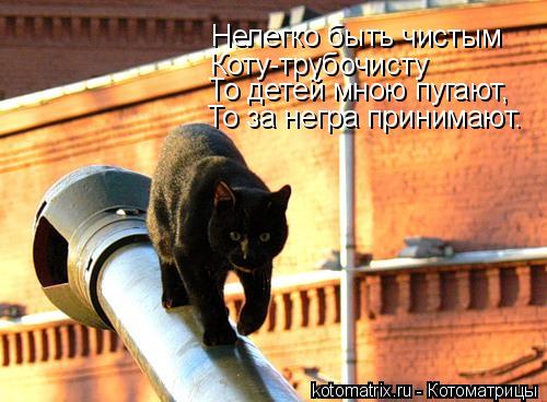 Котоматрица: Коту-трубочисту Нелегко быть чистым То детей мною пугают, То за негра принимают.
