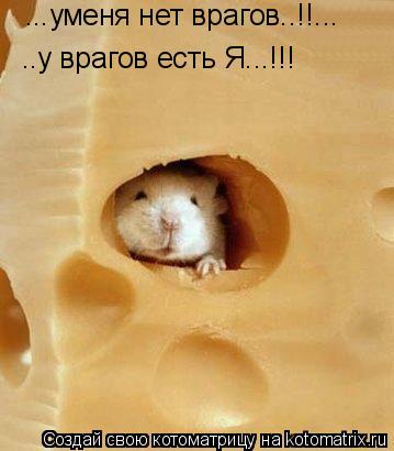Котоматрица: ...уменя нет врагов..!!... ..у врагов есть Я...!!!