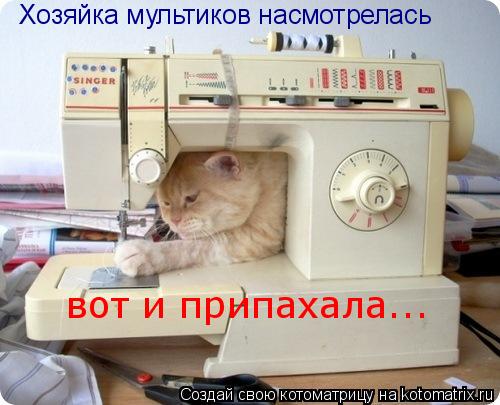 Котоматрица: Хозяйка мультиков насмотрелась вот и припахала...