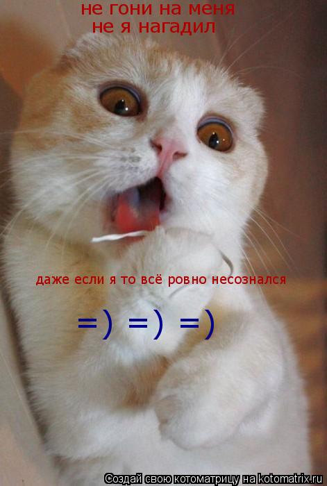 Котоматрица: не гони на меня не я нагадил даже если я то всё ровно несознался  =) =) =)