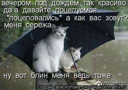 Котоматрица: вечером  под  дождем  так  красиво    да а  давайте  поцелуемся     *поцеловались*  а  как  вас  зовут?   меня  сережа    ну  вот  блин  меня  ведь  т