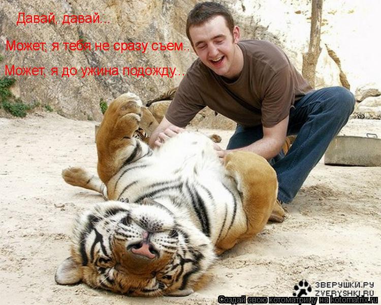 Котоматрица: Давай, давай... Может, я тебя не сразу съем.. Может, я тебя не сразу съем.. Может, я до ужина подожду...
