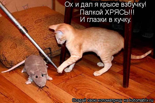 Ох и дал я крысе взбучку! Палкой ХРЯСЬ!!! И глазки в кучку.... Котоматрица: Ох и дал я крысе взбучку! Палкой ХРЯСЬ!!! И глазки в кучку.