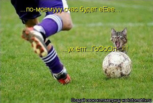 Котоматрица: ...по-моемууу счас будет еЕее.... ...ух ёпт...ГоОоОл...!!!