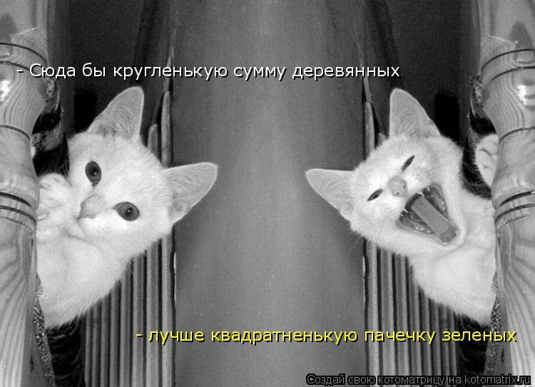 Котоматрица: - Сюда бы кругленькую сумму деревянных - лучше квадратненькую пачечку зеленых