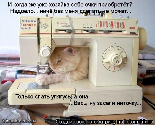 Котоматрица: И когда же уже хозяйка себе очки приобретёт? Надоело... ничё без меня сделать не может... Только спать улягусь, а она: ...Вась, ну засели ниточку.