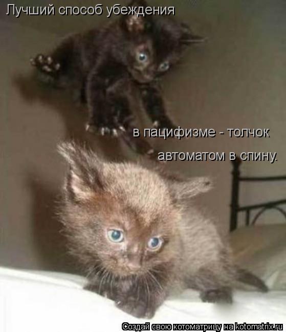 Котоматрица: Лучший способ убеждения в пацифизме - толчок  автоматом в спину.