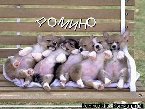 Котоматрица: Н И М О&nbsp;&nbsp;&nbsp;&nbsp;&nbsp;&nbsp;  О Д
