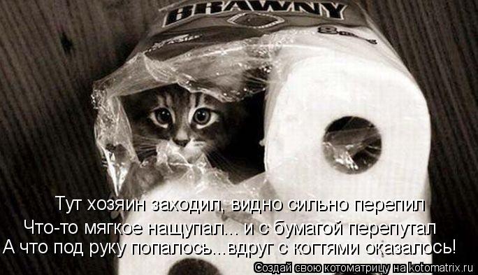 Котоматрица: Тут хозяин заходил, видно сильно перепил Что-то мягкое нащупал... и с бумагой перепутал А что под руку попалось...вдруг с когтями оказалось!