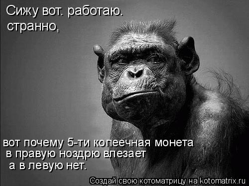 Сижу вот. работаю. странно, вот почему 5-ти копеечная монета в правую ноздрю влезает а в левую нет…... Котоматрица: Сижу вот. работаю. странно, вот почему 5-ти копеечная монета в правую ноздрю влезает а в левую нет…