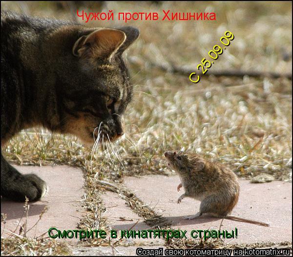 Чужой против Хишника Смотрите в кинатятрах страны! С 25.09.09... Котоматрица: Чужой против Хишника Смотрите в кинатятрах страны! С 25.09.09