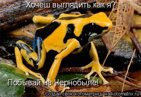 Хочеш выглядить как я? Побывай на Чернобыле!... Котоматрица: Хочеш выглядить как я? Побывай на Чернобыле!