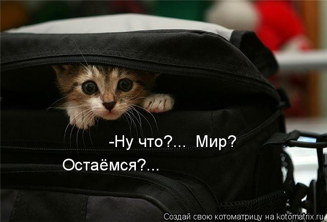 -Ну что?... Мир? Остаёмся?...... Котоматрица: -Ну что?... Мир? Остаёмся?...
