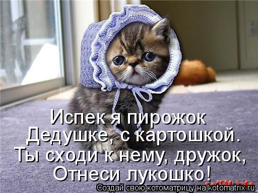 Котоматрица: Испек я пирожок  Дедушке, с картошкой.  Ты сходи к нему, дружок,  Отнеси лукошко!