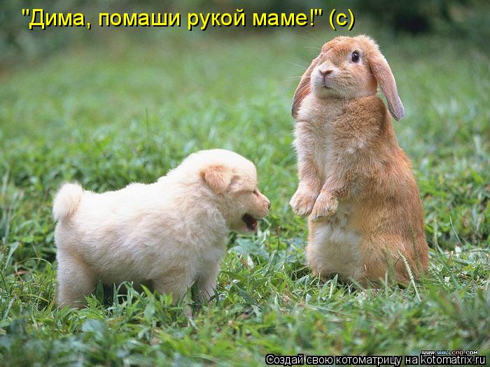 "Дима, помаши рукой маме!" (с)... Котоматрица: "Дима, помаши рукой маме!" (с)